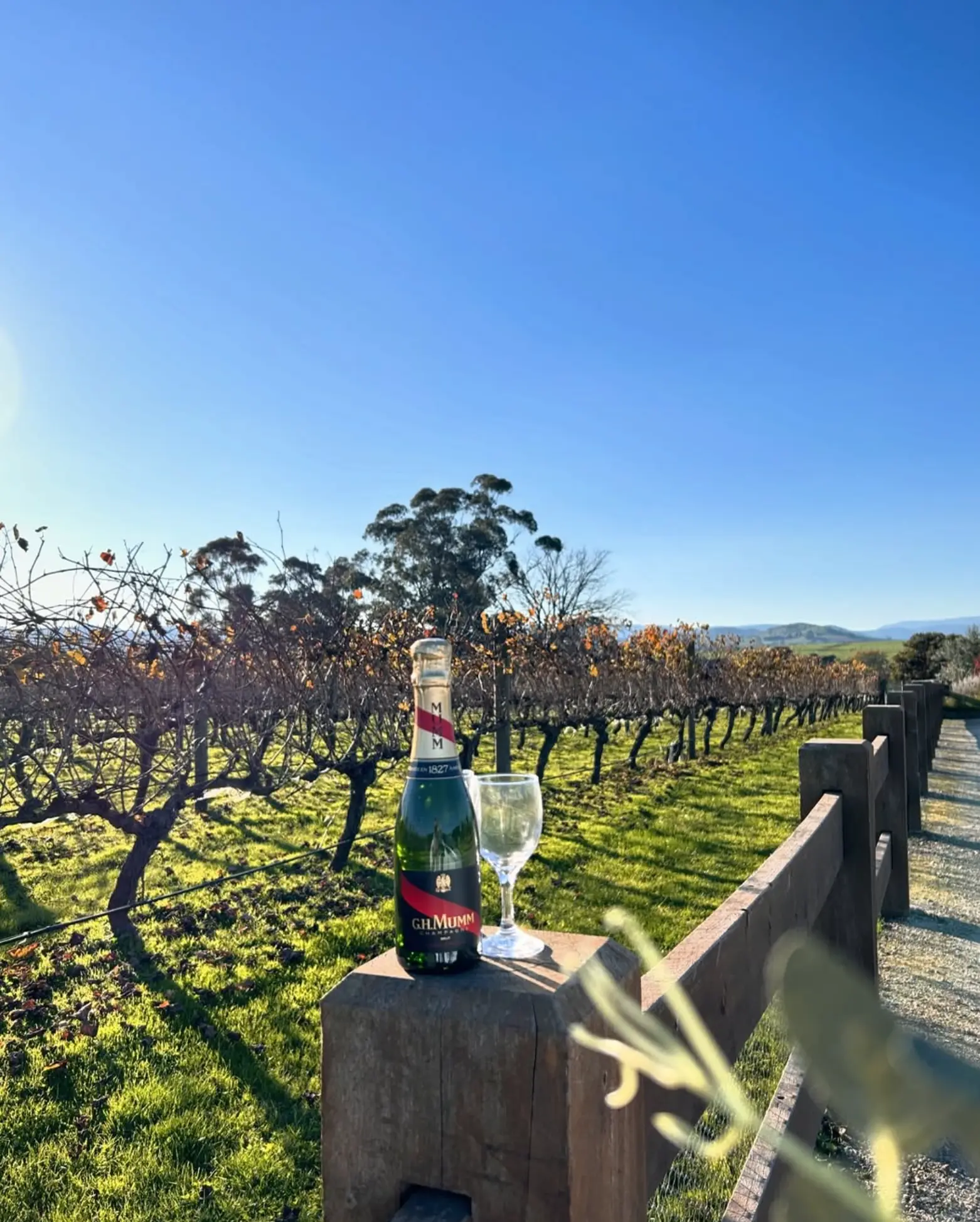 best wineries Yarra Valley