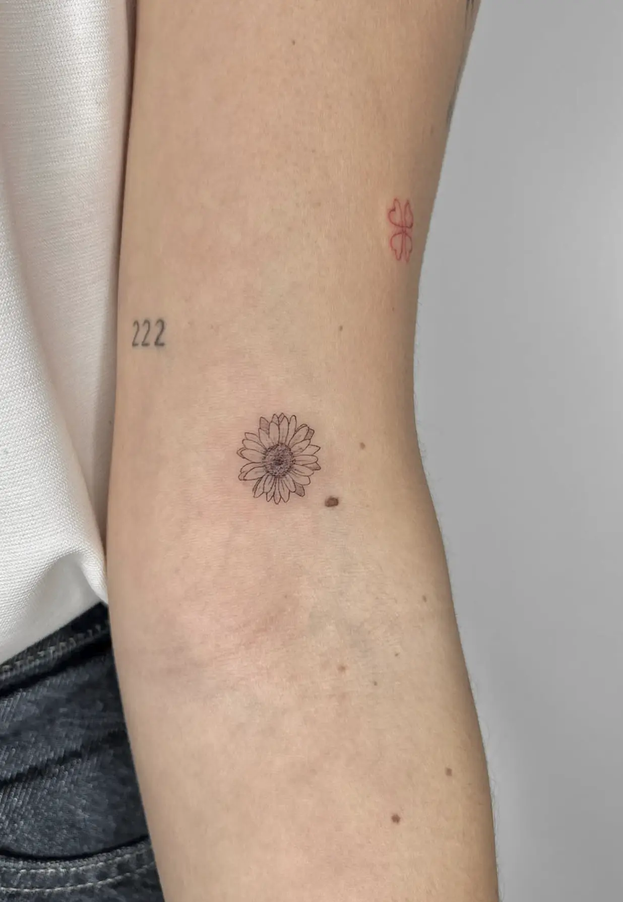 fine line cat tattoo